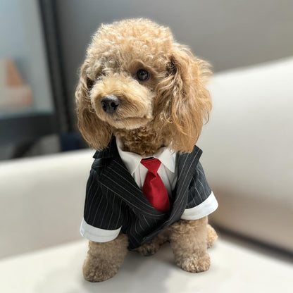 Happy Times Ginger Pin-Stripes