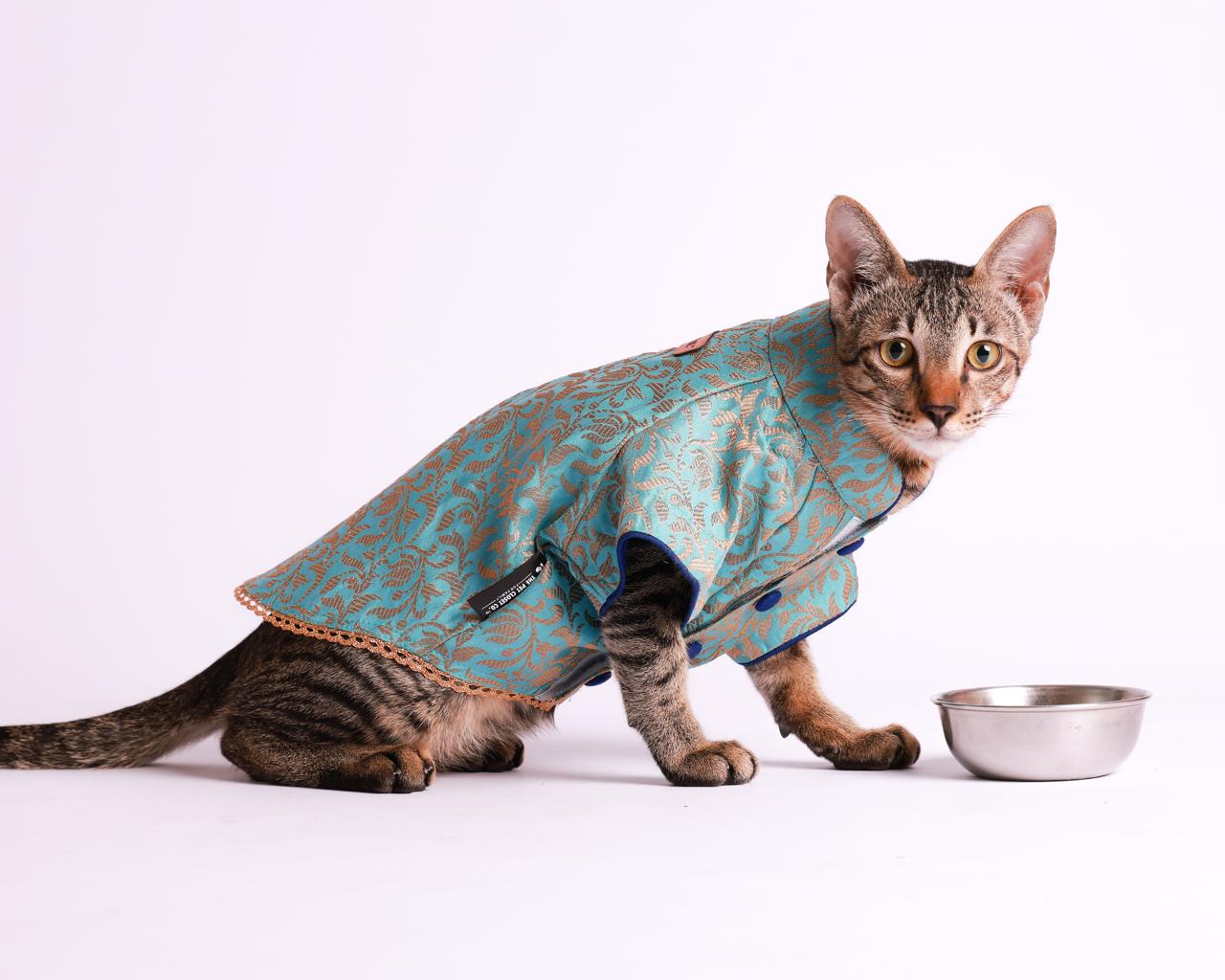 Coctail Blue Silk Brocade Sherwani