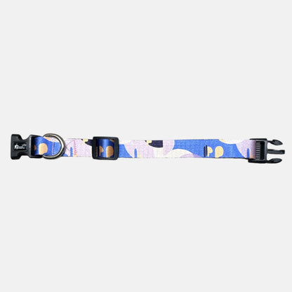 Colourful Sky- Collar N Leash