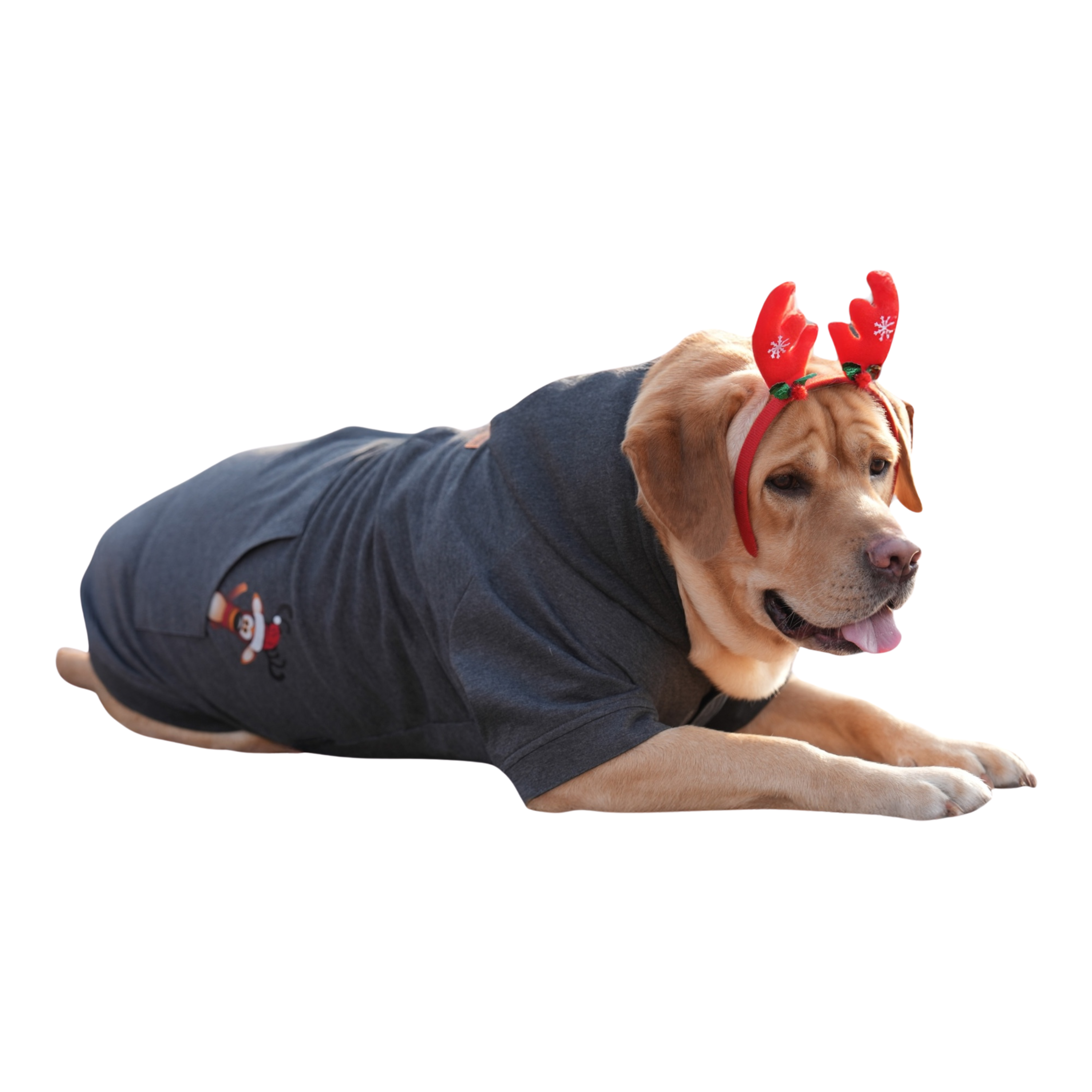 Reindeer In My Pocket Hoodie