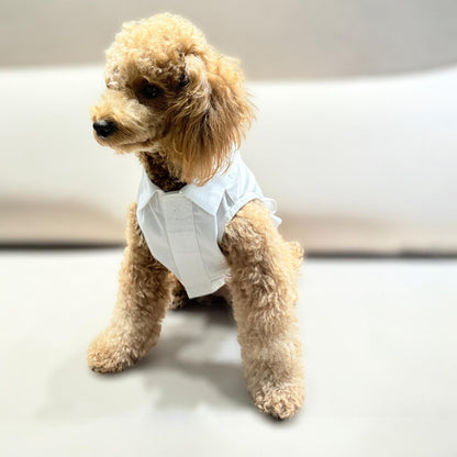 Happy Times Ginger Pin-Stripes