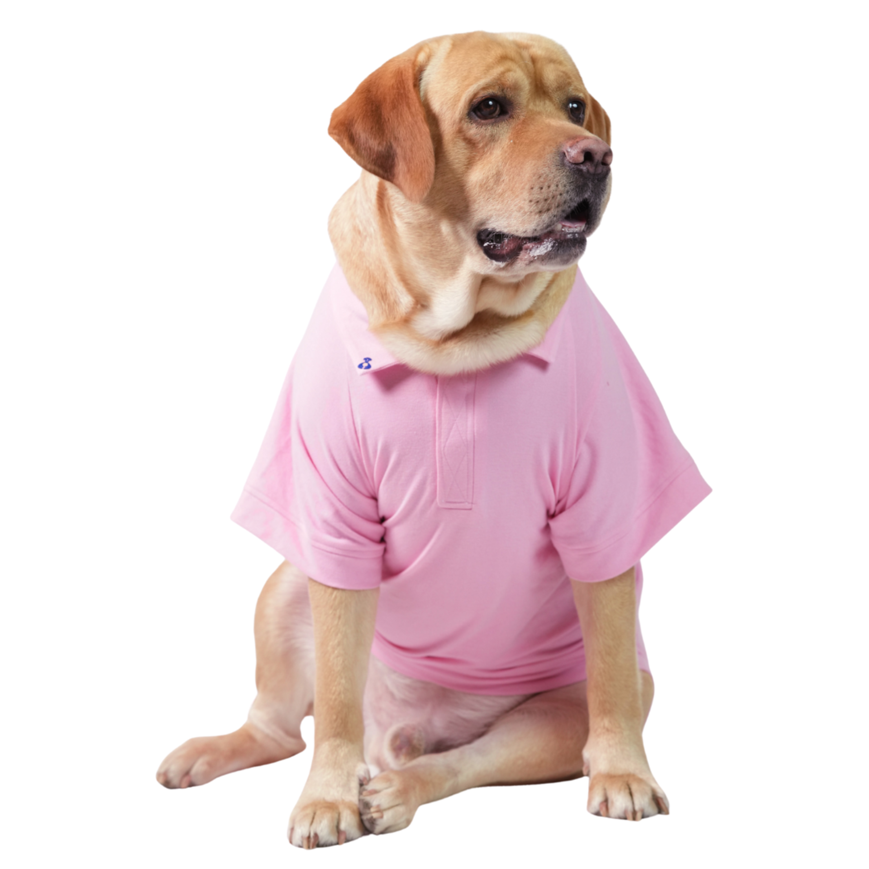 POLO T-Shirt- Not So Basic Pink Blush