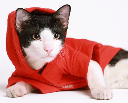 Hoodie aus Baumwollmischung mit Futter und Rentier-Print