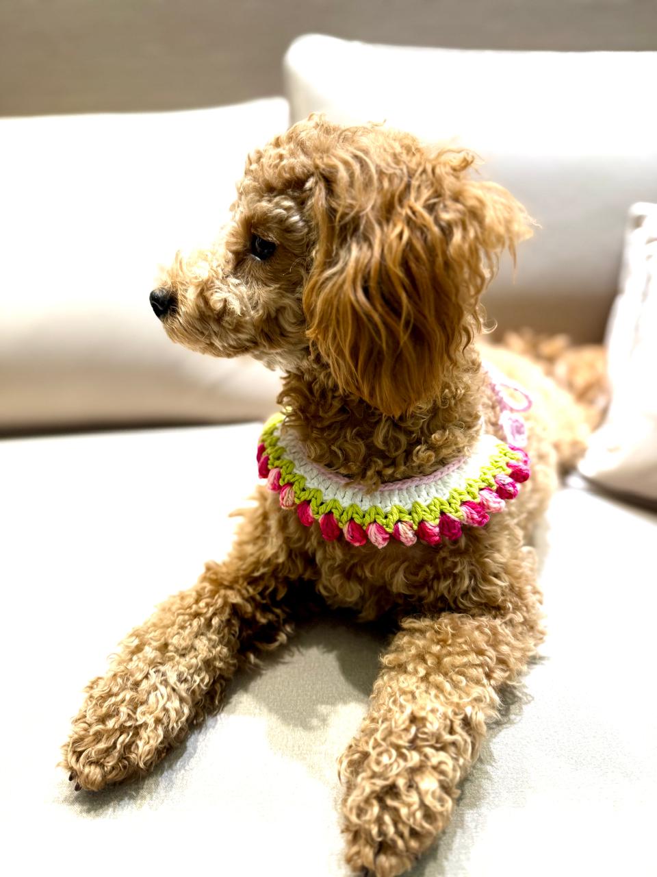 Pink Rose Buds-Crochet Dog Collar