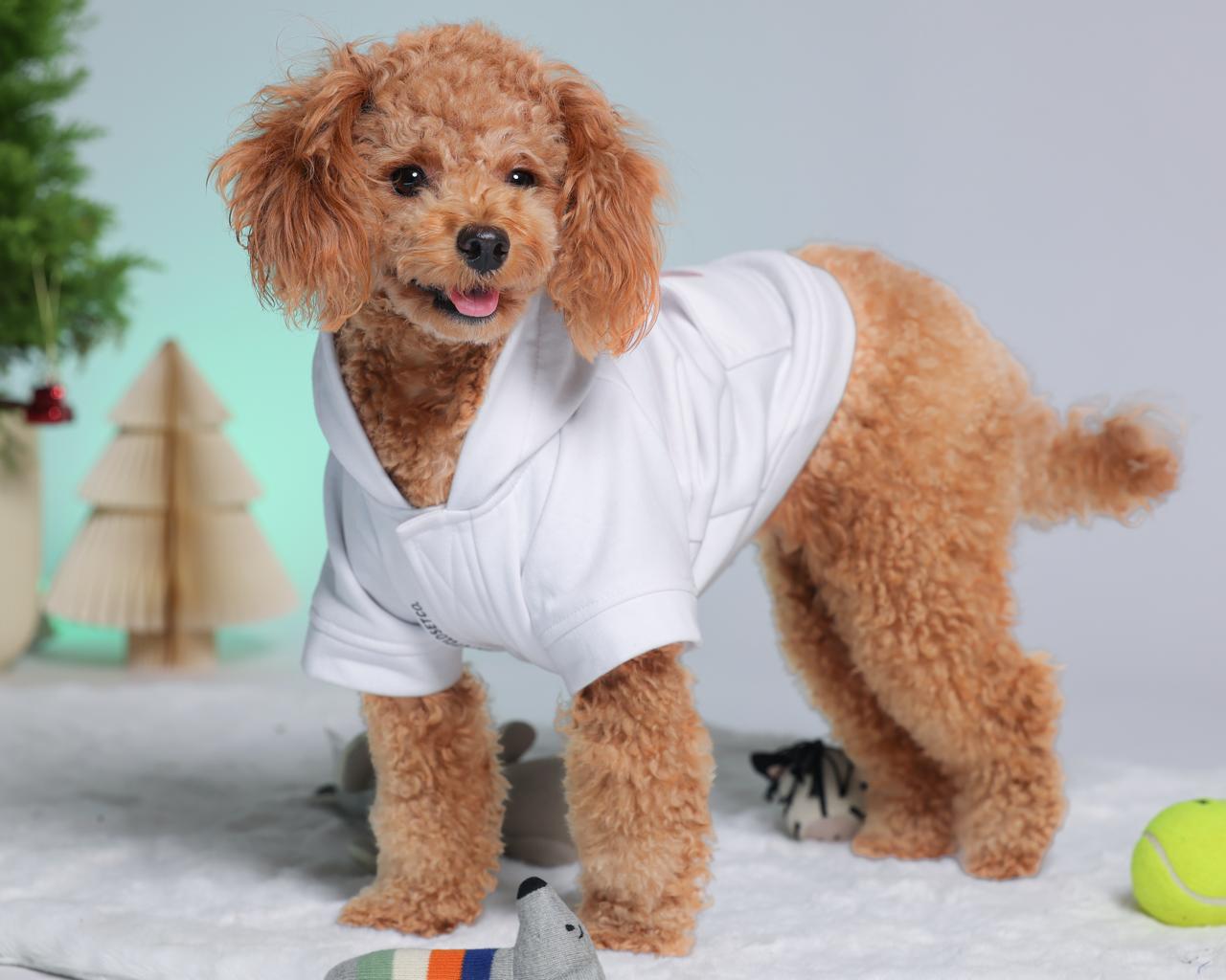 Hoodie mit Fleecefutter