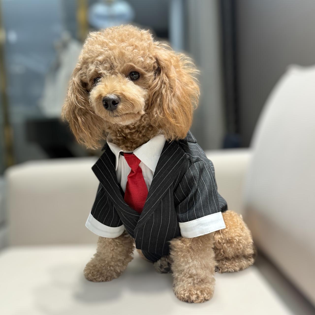 Happy Times Ginger Pin-Stripes