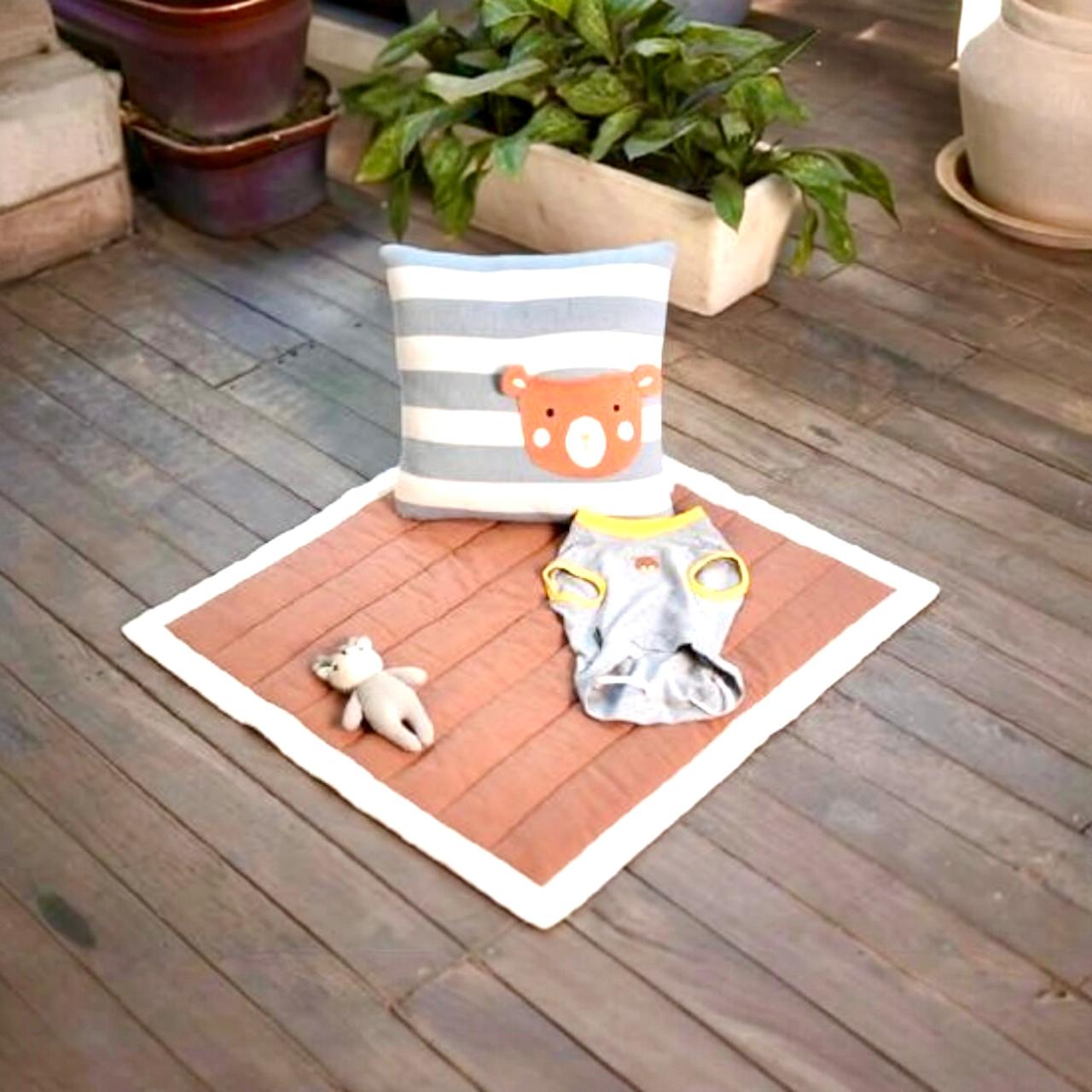 Bear Face Cushion