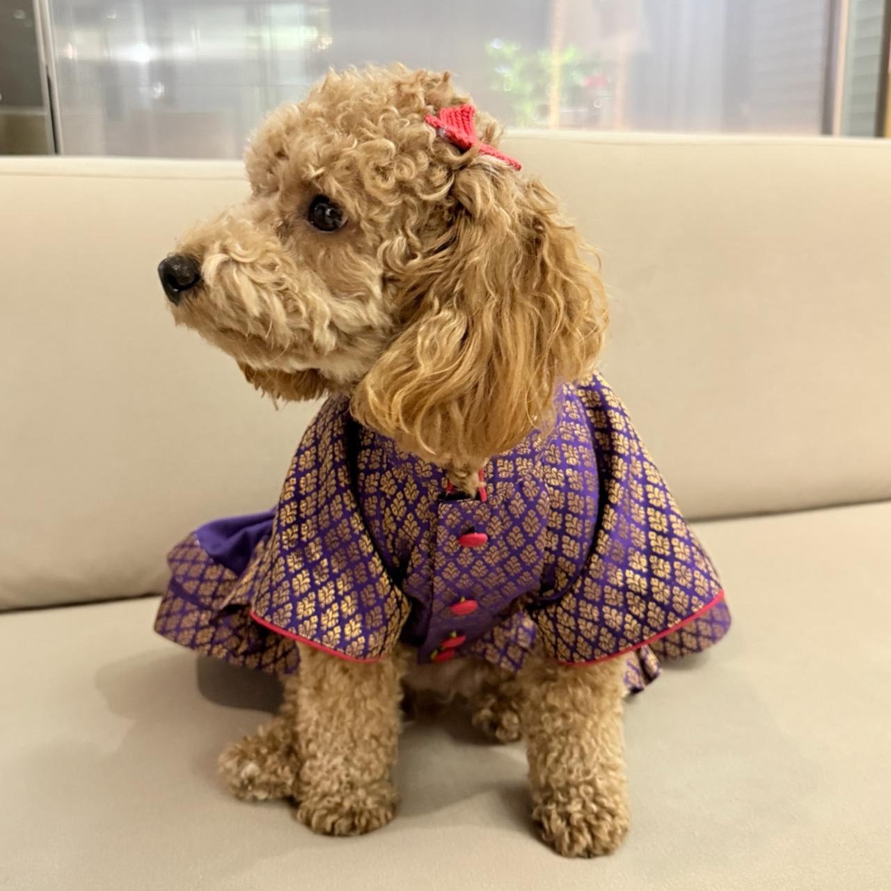 Snoopy Frock in Brocade- Purple Amethyst