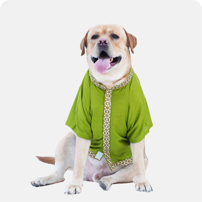 Cotton Silk Kurta- Mehendi Green