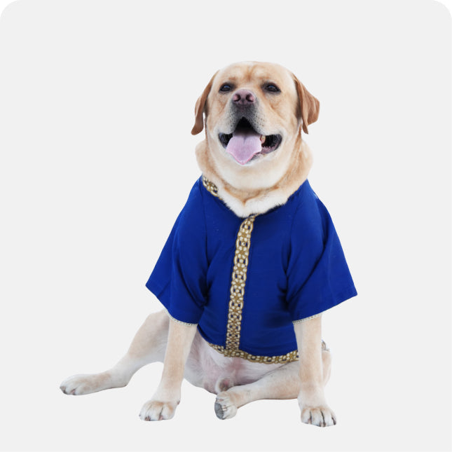 Cotton Silk Kurta- Coctail Blue