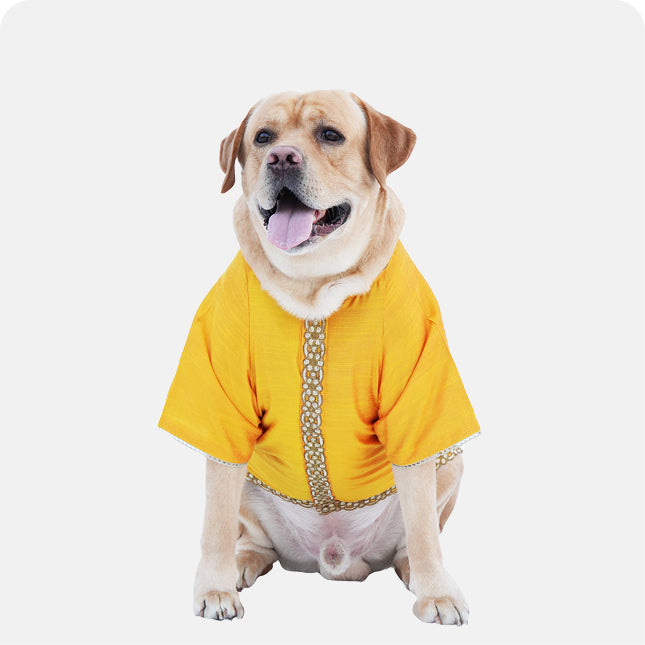 Cotton Silk Kurta- Haldi Yellow