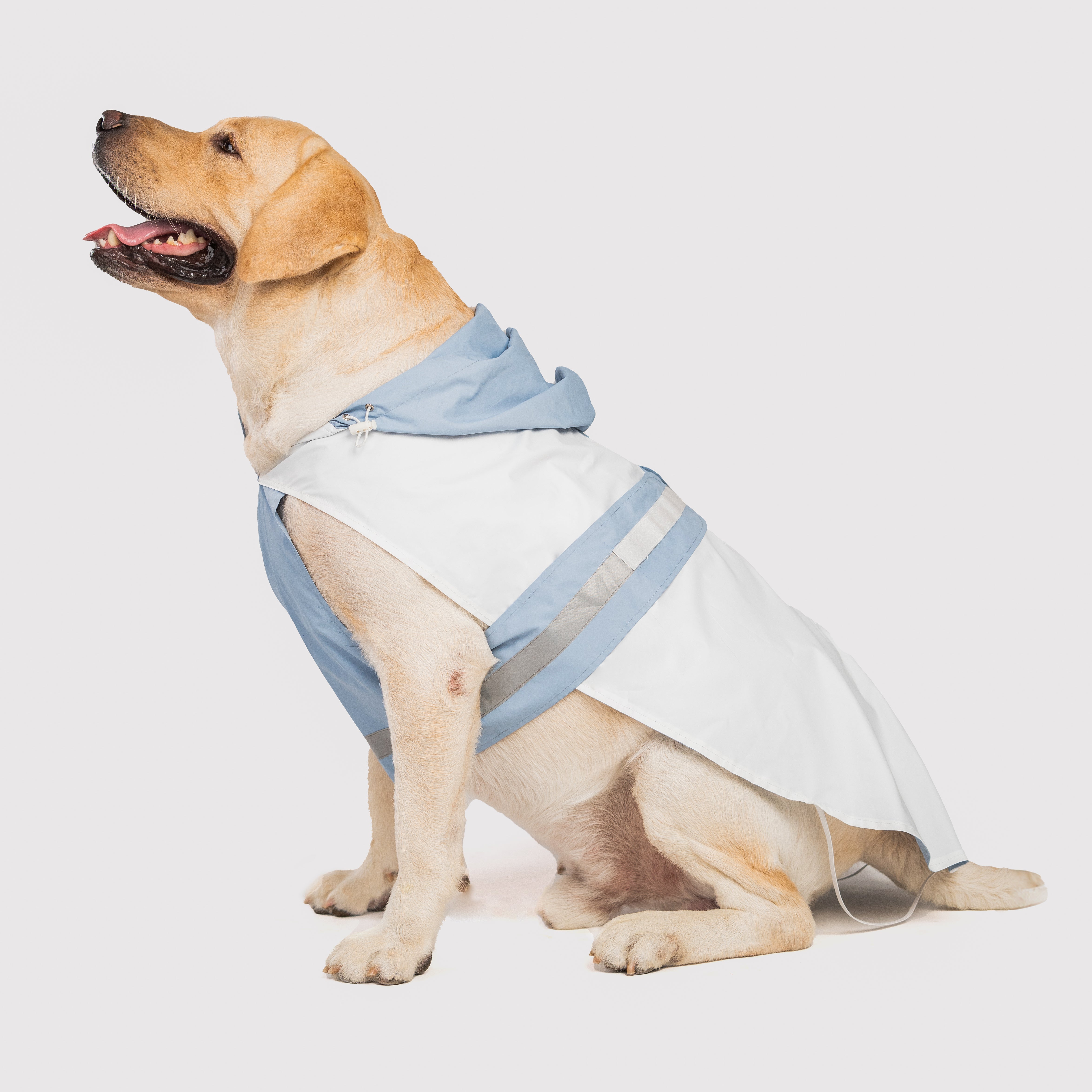 Epitome Raincoat- Powder Blue