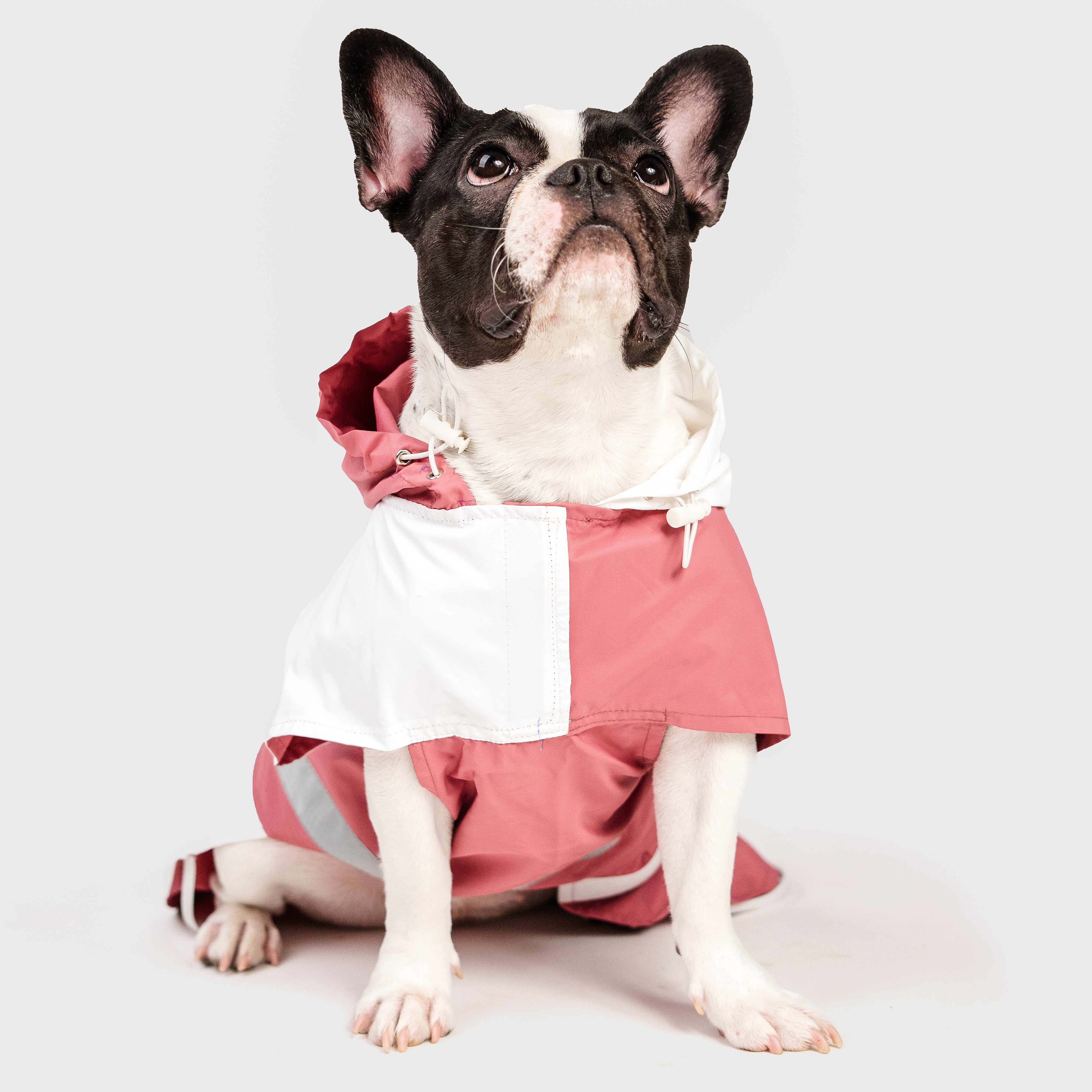 Epitome Raincoat- English Rose
