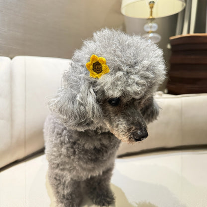 Sun in My Hair- Clips