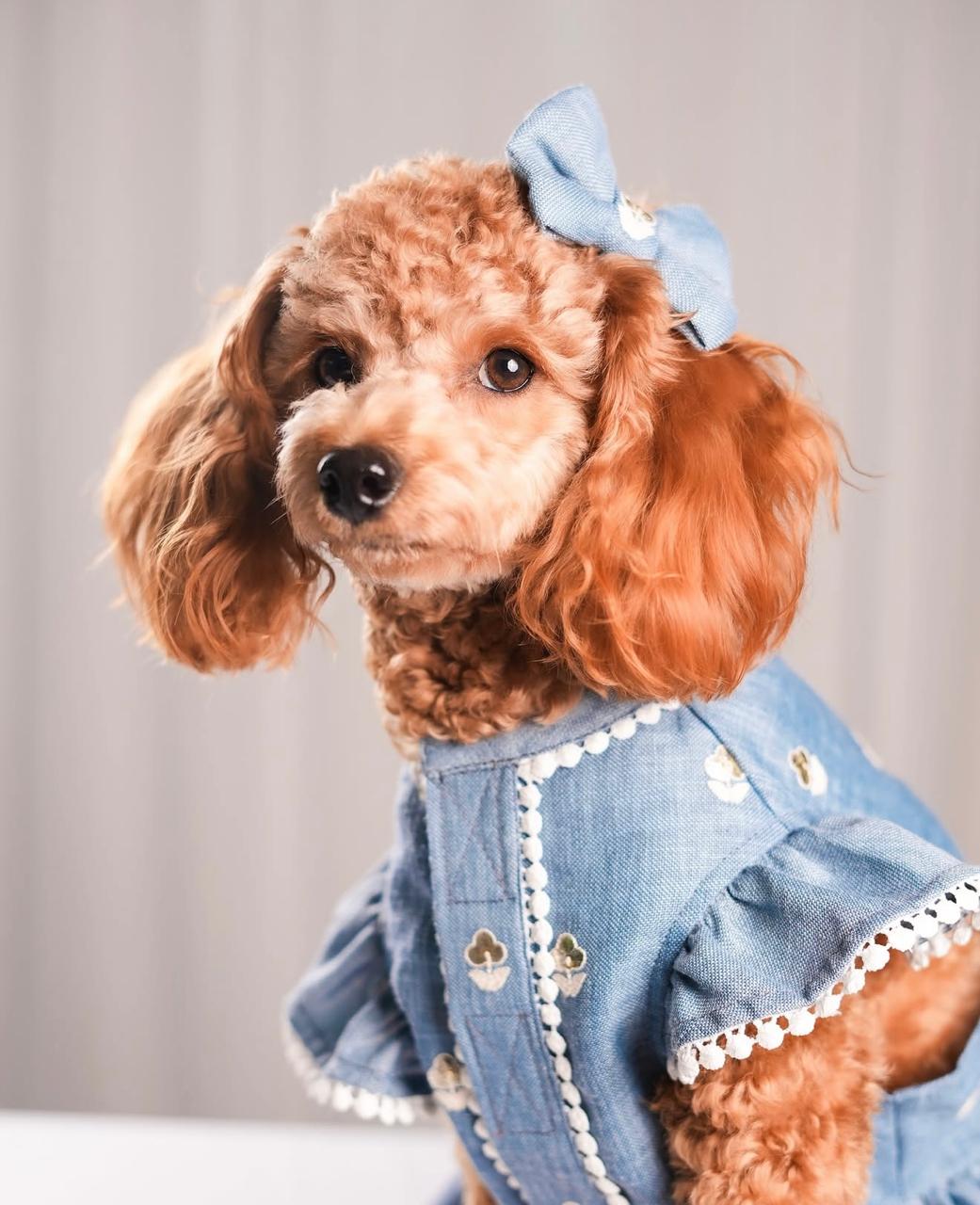 Lacy Lace Linen Gota- Pink Pearl