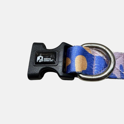 Colourful Sky- Collar N Leash