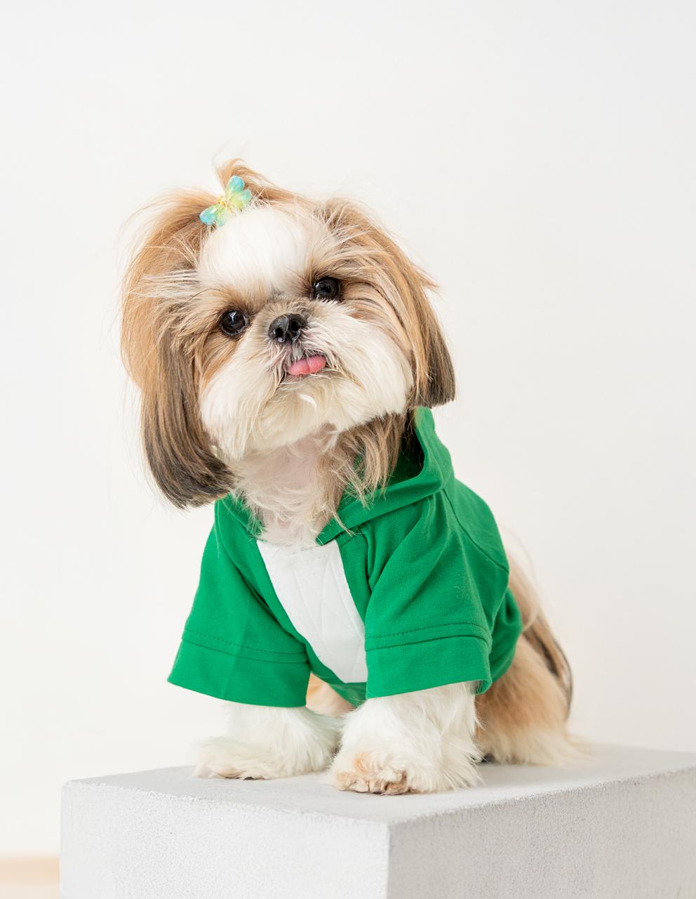 Cutie Me Hoodie- Emerald Green