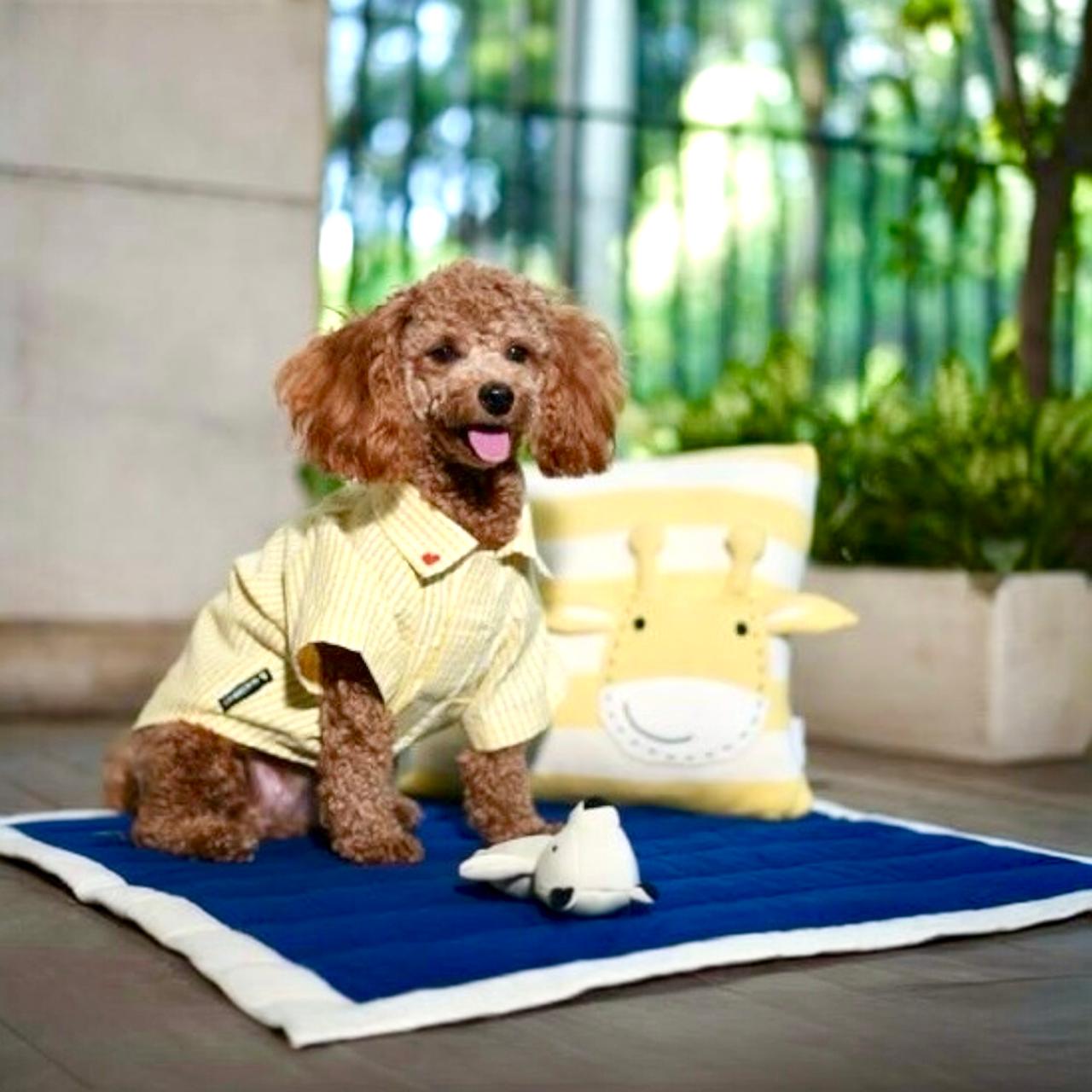Pawkey Cushion