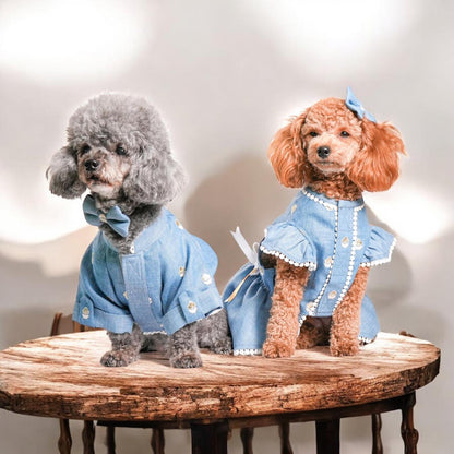 Lacy Linen Gota Paws- Aqua Frock