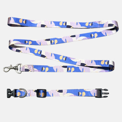 Colourful Sky- Collar N Leash
