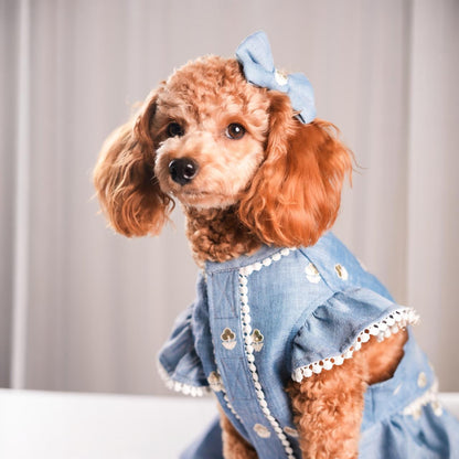 Lacy Linen Gota Paws- Aqua Frock