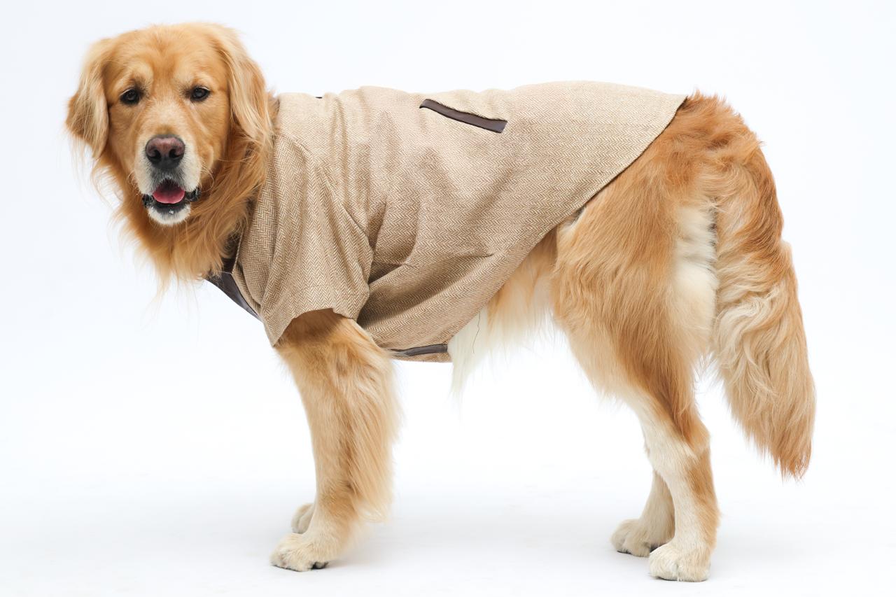 Owning Tweeds- Beige