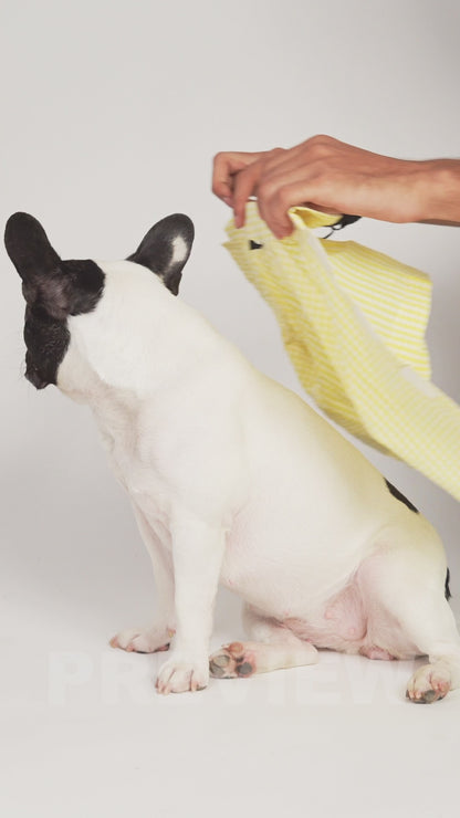 Sailor Dog  Shirt- Navy